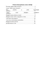 Practice Reports 'Pirmsskolas skolotāja pedagoģijas prakses atskaite', 4.