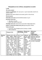 Practice Reports 'Pirmsskolas skolotāja pedagoģijas prakses atskaite', 20.