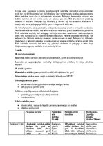 Practice Reports 'Pirmsskolas skolotāja pedagoģijas prakses atskaite', 29.