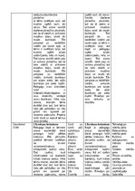 Practice Reports 'Pirmsskolas skolotāja pedagoģijas prakses atskaite', 32.