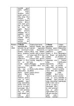 Practice Reports 'Pirmsskolas skolotāja pedagoģijas prakses atskaite', 56.