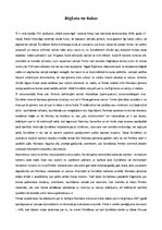 Essays 'Dokumentālās filmas "Bēgšana no Kubas" analīze', 2.