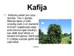 Presentations 'Kafija', 1.