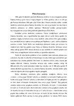 Research Papers 'Plāns "Barbarosa"', 4.