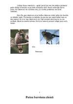 Research Papers 'Putnu piesaistīšana, izmantojot barotavas', 5.