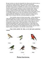 Research Papers 'Putnu piesaistīšana, izmantojot barotavas', 7.
