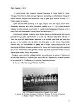Research Papers 'Futbols Talsos un Talsu rajonā', 17.