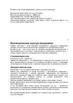 Business Plans 'Расчет экономической эффективности фирмы "Virtuļu paradīze"', 5.