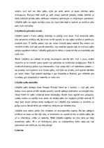 Summaries, Notes 'A.Pumpura eposs “Lāčplēsis”', 3.
