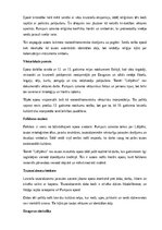 Summaries, Notes 'A.Pumpura eposs “Lāčplēsis”', 10.