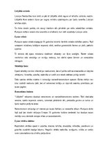Summaries, Notes 'A.Pumpura eposs “Lāčplēsis”', 13.