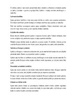 Summaries, Notes 'A.Pumpura eposs “Lāčplēsis”', 14.