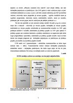 Research Papers 'Matemātiskās modelēšanas pielietojums ekonomikas procesu prognozēšanā', 7.