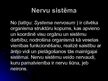 Presentations 'Cilvēka nervu sistēma un tās slimības', 2.