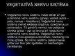 Presentations 'Cilvēka nervu sistēma un tās slimības', 5.