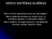 Presentations 'Cilvēka nervu sistēma un tās slimības', 13.