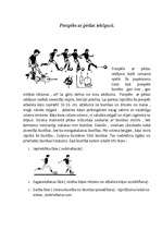Summaries, Notes 'Sporta teorija', 2.