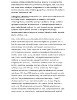 Essays 'Tehnogēnas katastrofas. Ignalinas AES draudi Latvijai', 2.