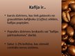 Presentations 'Kafija', 2.