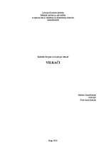 Research Papers 'Vilkači', 1.