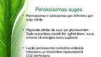 Presentations 'Peroksisomas - bioloģija', 4.