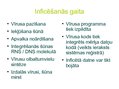 Presentations 'Bioloģisko vīrusu salīdzinājums ar datorvīrusu', 4.