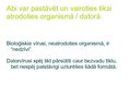 Presentations 'Bioloģisko vīrusu salīdzinājums ar datorvīrusu', 8.