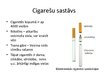 Presentations 'Smēķēšanas atkarība', 6.
