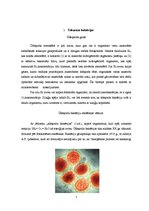 Research Papers 'Ūdeņraža baktērijas un karboksidobaktērijas', 3.