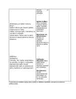 Summaries, Notes 'Matemātiskās rotaļnodarbības', 7.