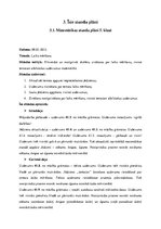 Practice Reports 'Otrā specializācijas prakse matemātikā', 12.