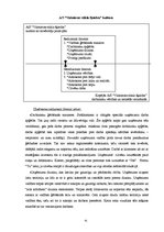 Research Papers 'A/s "Valmieras stikla šķiedra" vadīšanas sistēma', 41.