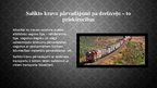 Presentations 'Dzelzceļa transporta kravu pārvadājumi', 16.