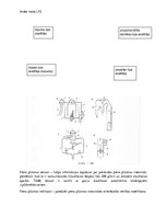 Samples 'Izslauktā piena uzskaite', 2.