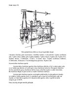 Samples 'Izslauktā piena uzskaite', 4.