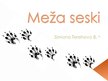Presentations 'Meža seski', 1.