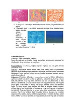 Research Papers 'Akrila krāsa', 5.