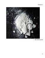 Research Papers 'Kokaīns un tā ietekme uz cilvēka organismu', 14.
