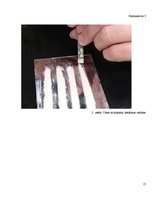 Research Papers 'Kokaīns un tā ietekme uz cilvēka organismu', 15.