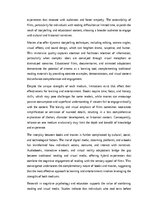 Essays 'Pages or Screens: Exploring the Educational and Entertainment Value of Books and', 2.