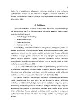 Research Papers 'Benčmārkings', 5.