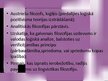 Presentations 'Lingvistiskā filosofija', 8.