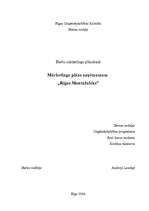 Research Papers 'Mārketinga plāns uzņēmumam "Rīgas Montāžnieks” ', 1.
