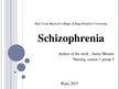 Presentations 'Schizophrenia', 1.
