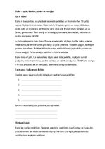 Samples 'Fizika – spēki, kustība, gaisma un enerģija', 1.