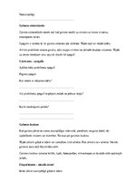 Samples 'Fizika – spēki, kustība, gaisma un enerģija', 19.