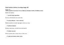 Samples '"Stundas plāni""
Valodas lietojums un lasīšana 1.klasē', 22.