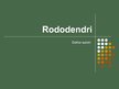 Presentations 'Rododendri', 1.