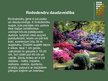 Presentations 'Rododendri', 4.