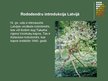 Presentations 'Rododendri', 7.